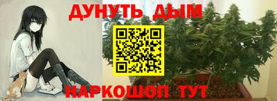 эйфоретик Будённовск